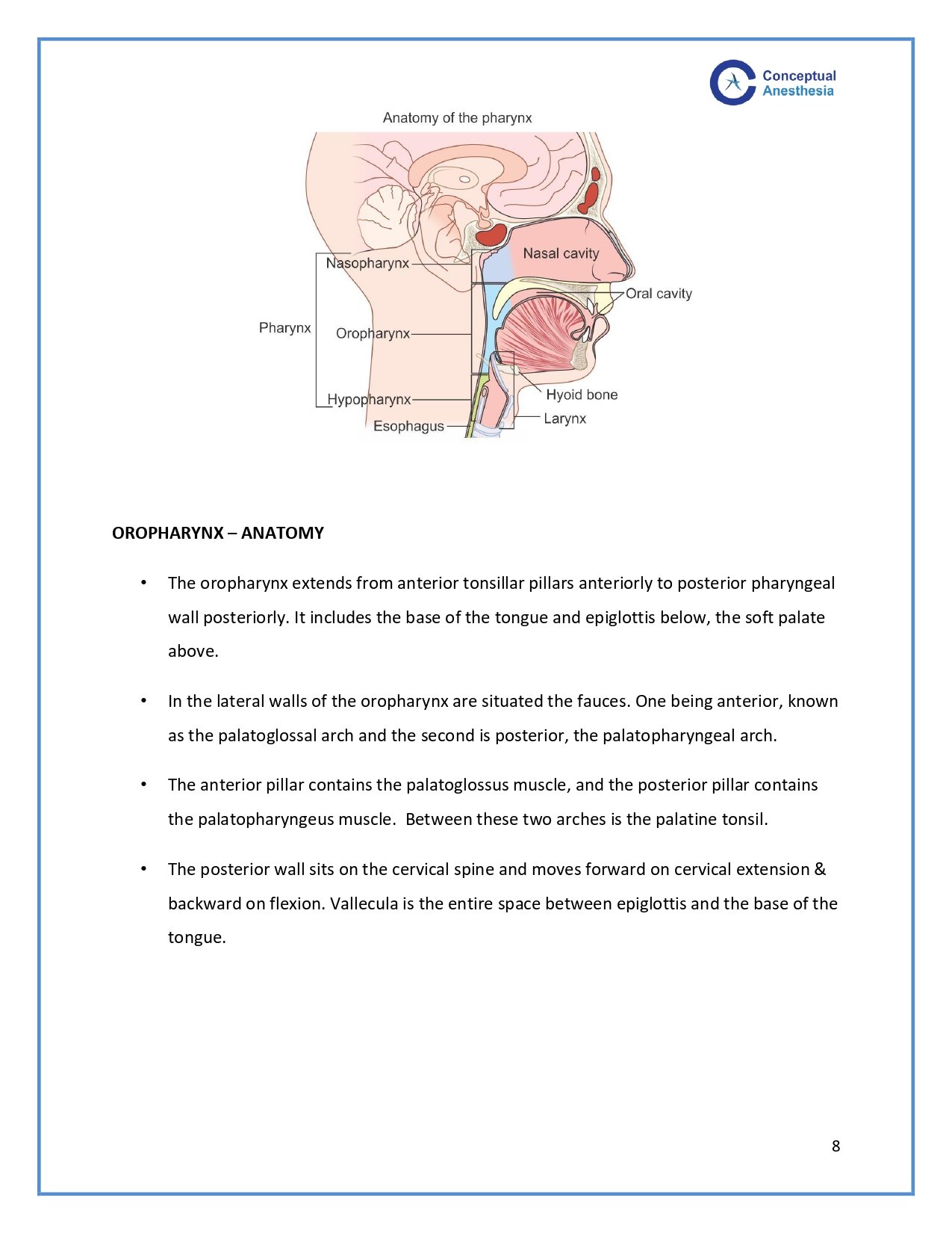 in app notes – Conceptual Anesthesia