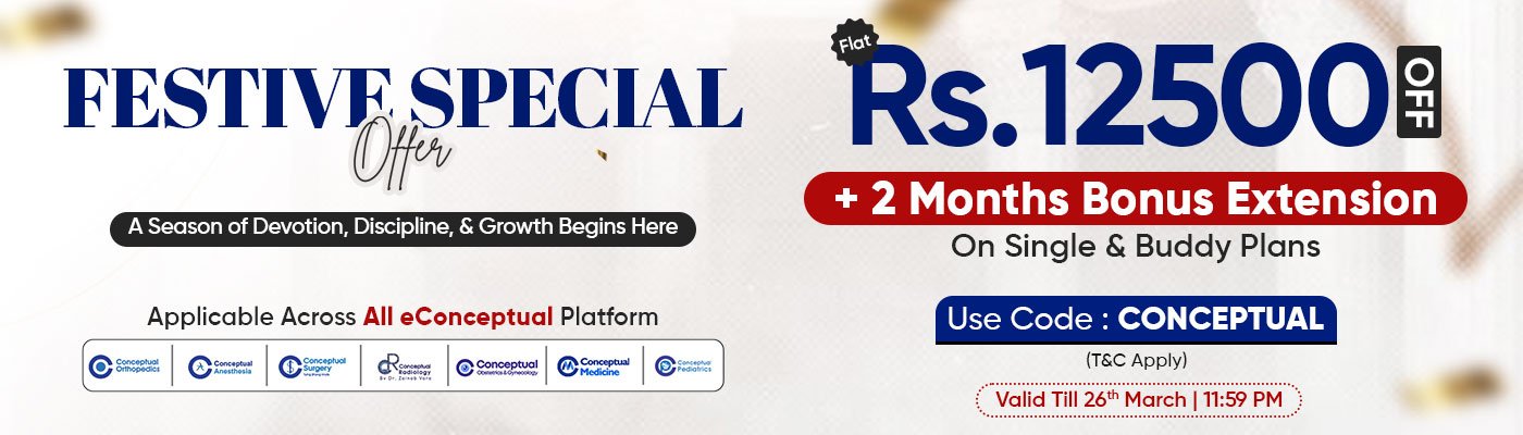 Festive-Special-website-banner